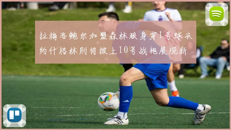 拉梅洛鲍尔加盟森林狼身穿1号球衣约什格林则将披上10号战袍展现新风采