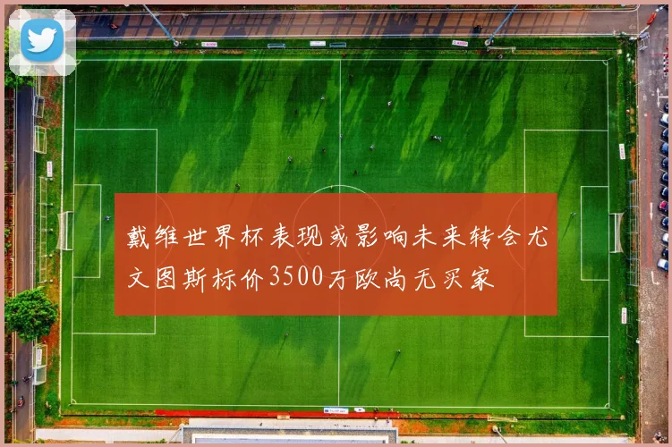 戴维世界杯表现或影响未来转会尤文图斯标价3500万欧尚无买家