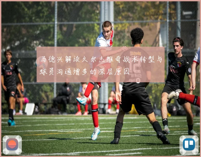 马德兴解读久尔杰维奇战术转型与球员沟通增多的深层原因