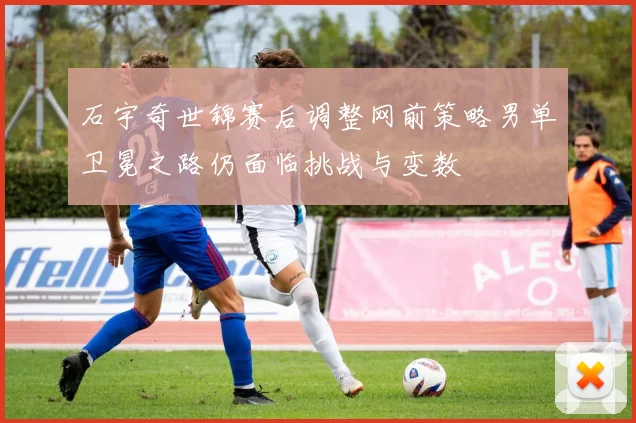 石宇奇世锦赛后调整网前策略男单卫冕之路仍面临挑战与变数